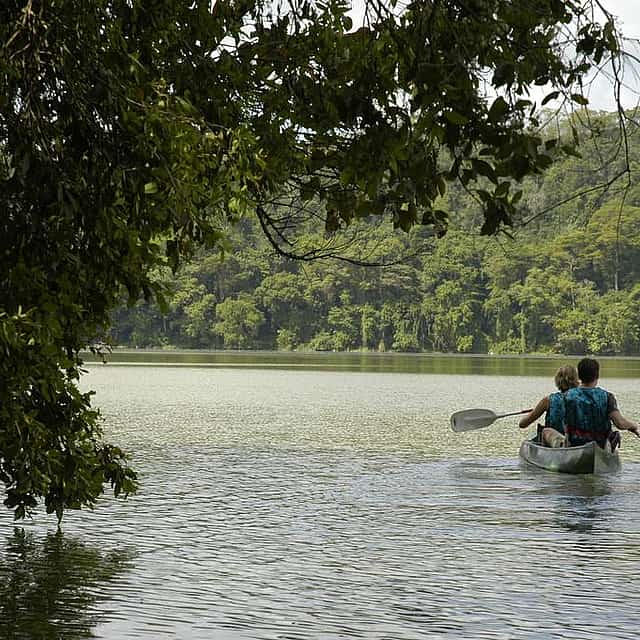 Lake Duluti Day Trip (Walking and Canoeing) from Arusha