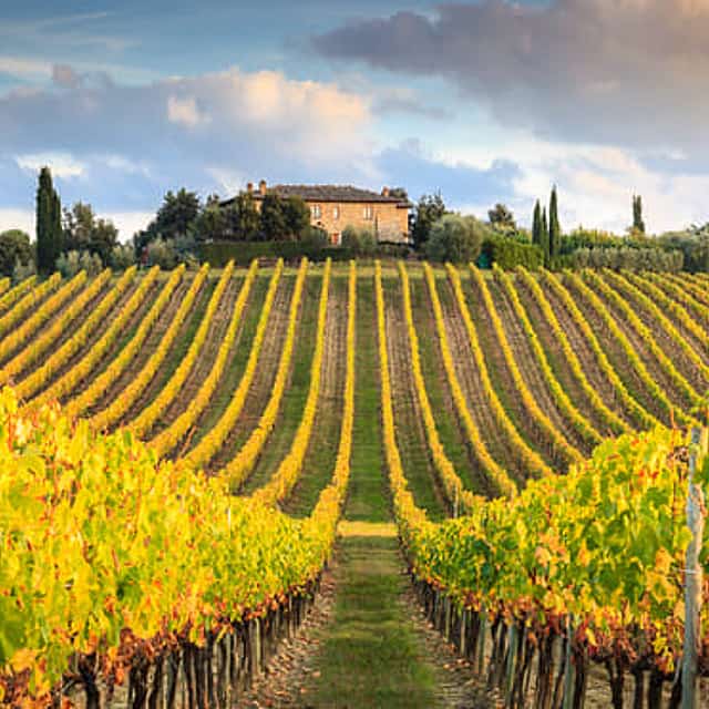 Romantic Chianti at Sunset - Small Group Excursion from Florence with Wine Tastings & Dinner