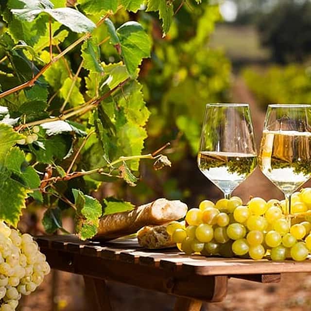 Provencal Market and Wine Tasting Full Day Shared Tour from Nice