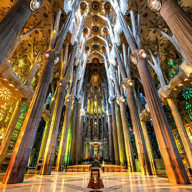 Sagrada Familia Semi Private Tour Skip-the-line FRENCH