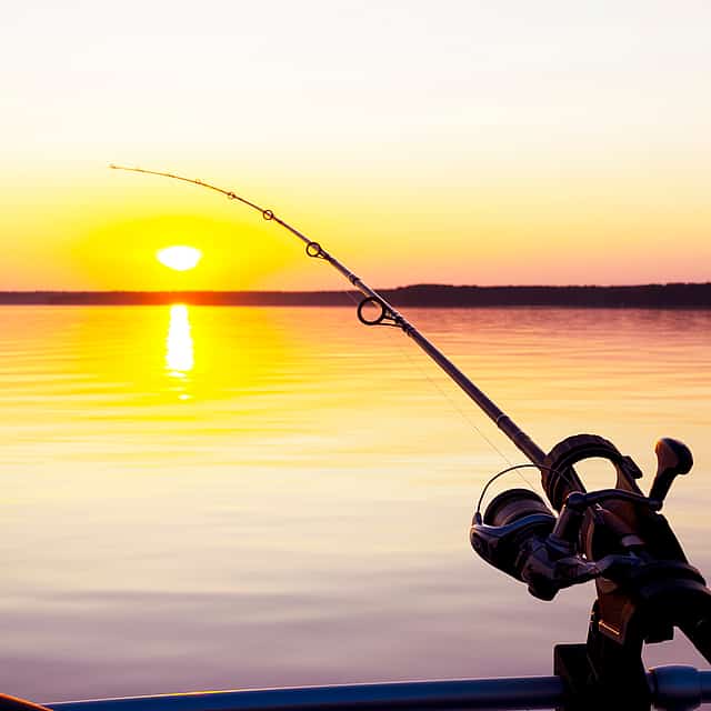 Santorini Private 5-hour Fishing Tour
