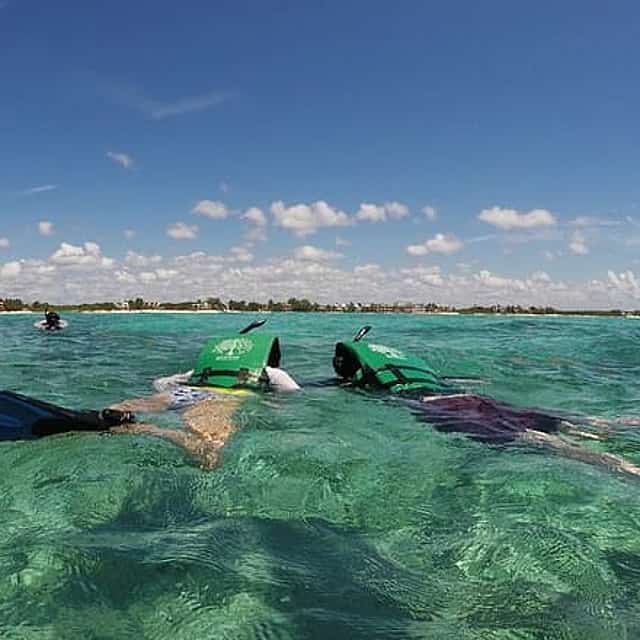 Snorkeling with Caribbean fish and private cenote exploration