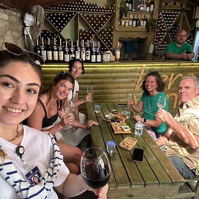 FOR CRUISERS: Ephesus & Sirince Village Wine Tasting Tour