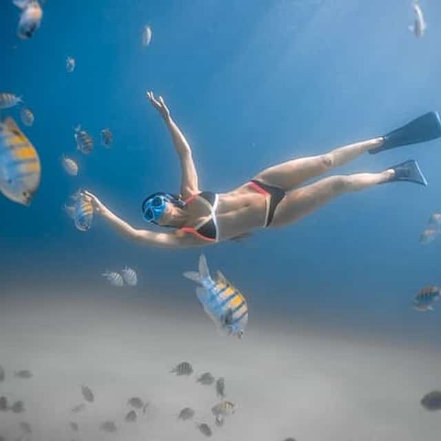 Los Cabos Snorkeling Tour to Chileno Bay and Santa Maria Cove