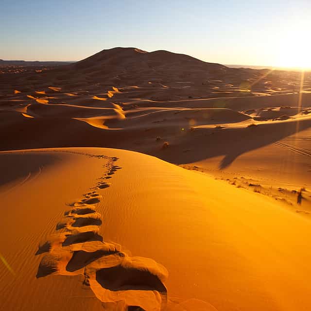 Wahiba Sands and Wadi Bani Khalid Adventure: Desert Wonders