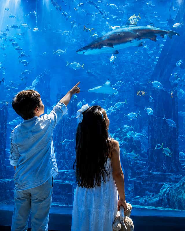 Niños y familia