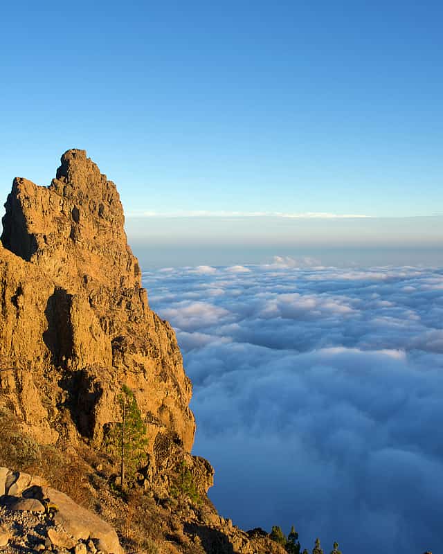 Las Palmas de Gran Canaria