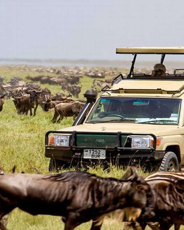 Masai Mara