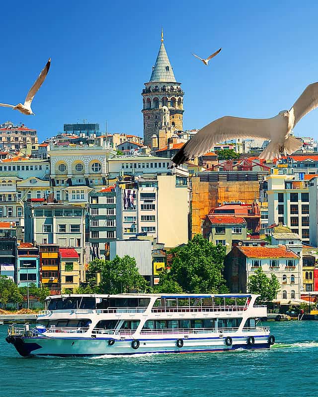Cruises