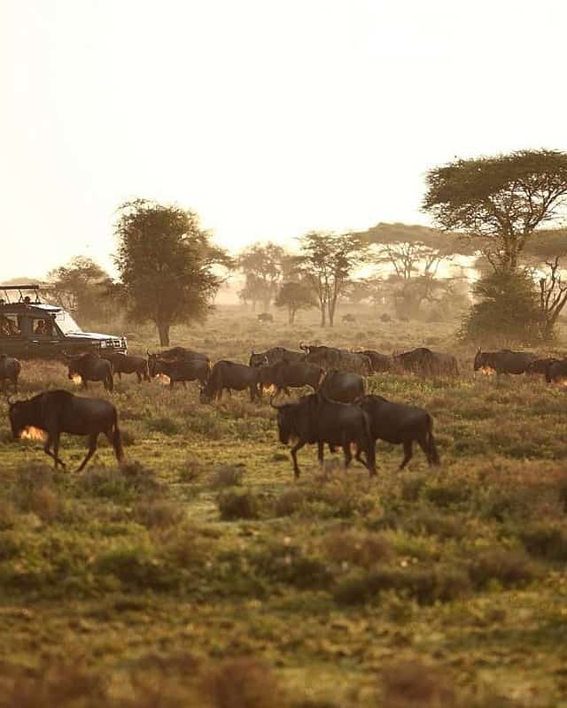 Arusha