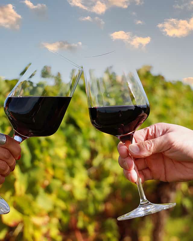STELLENBOSCH WINE ROUTES