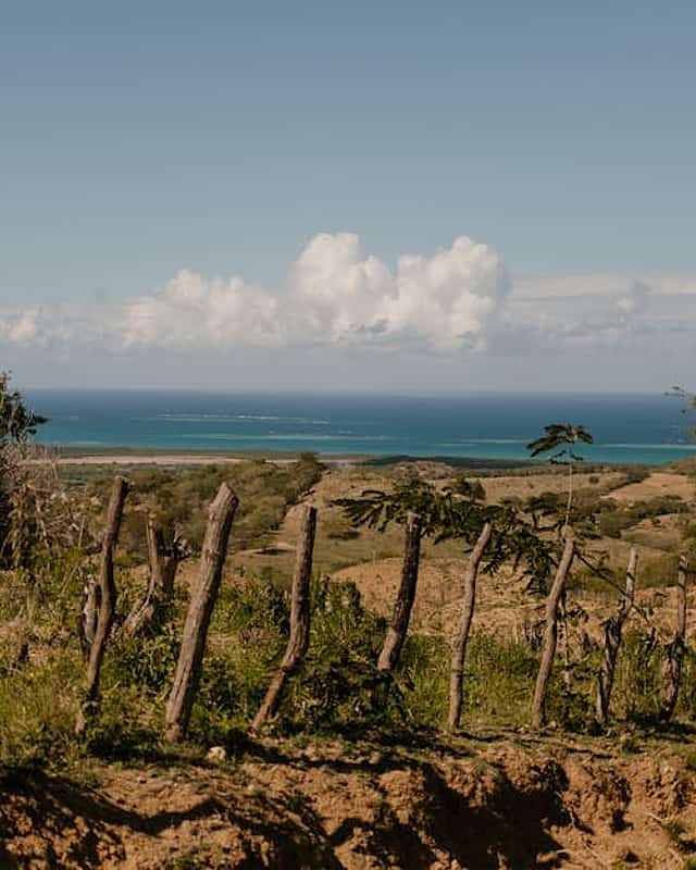 Punta Cana