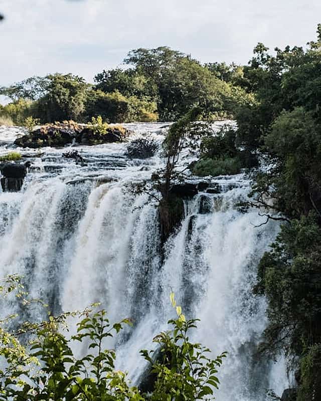 Livingstone