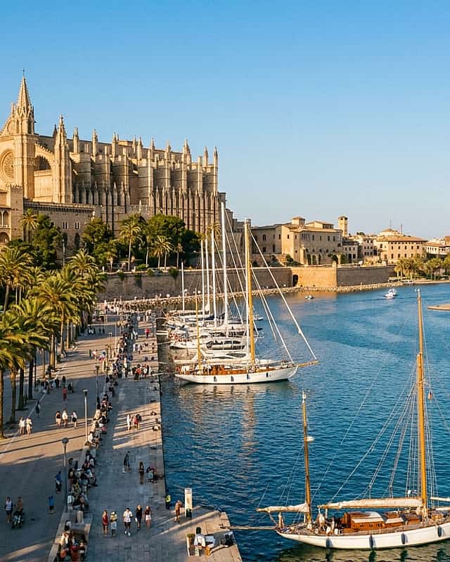 Palma