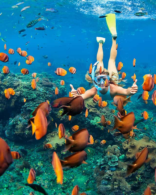 Sharm El-Sheikh