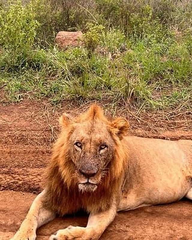 Nairobi