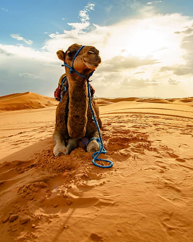 أبوظبي
