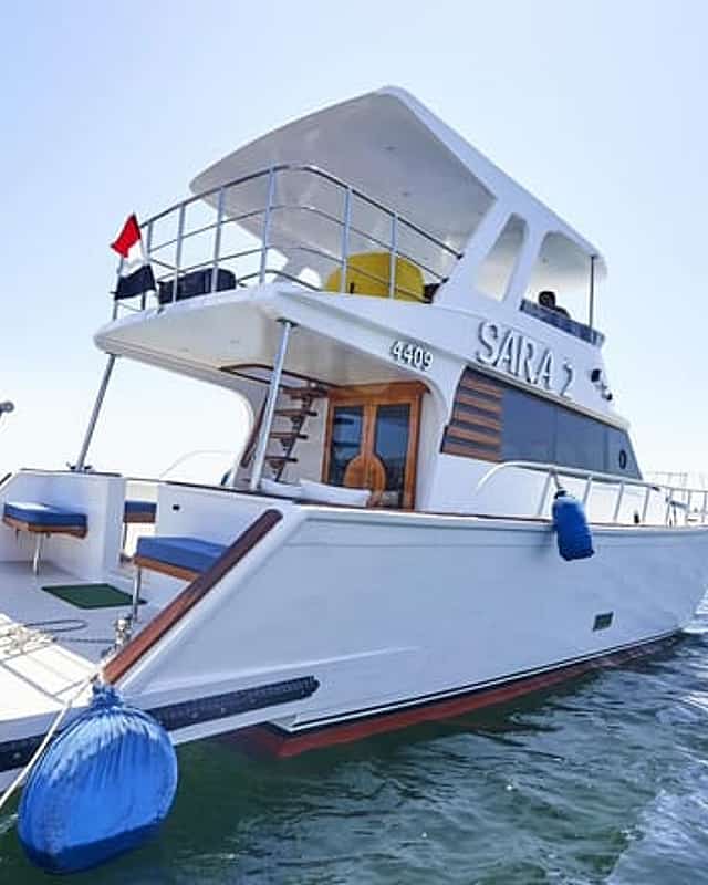 الاسكندرية