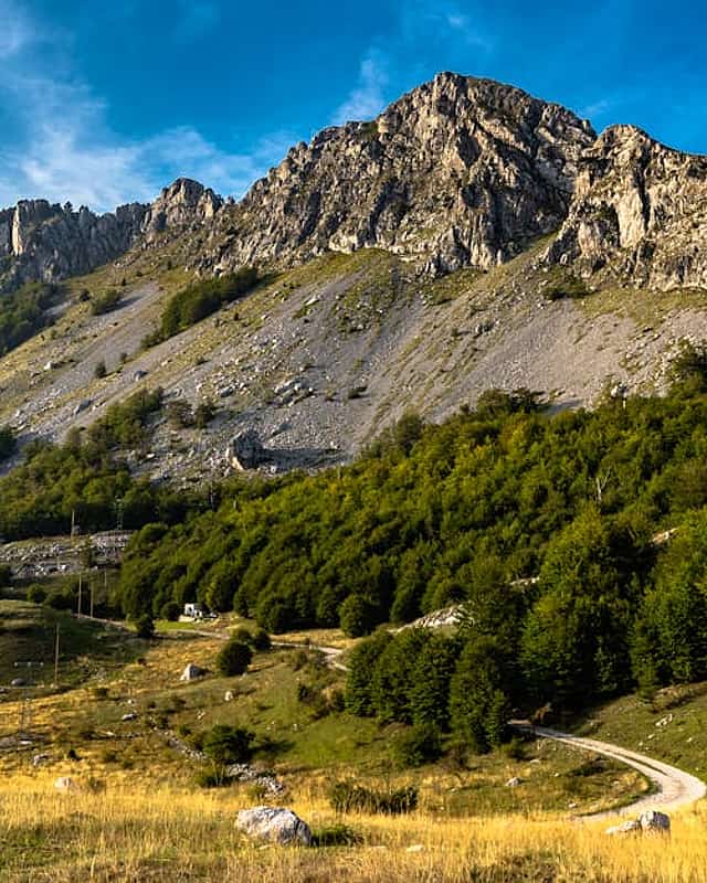 Kotor
