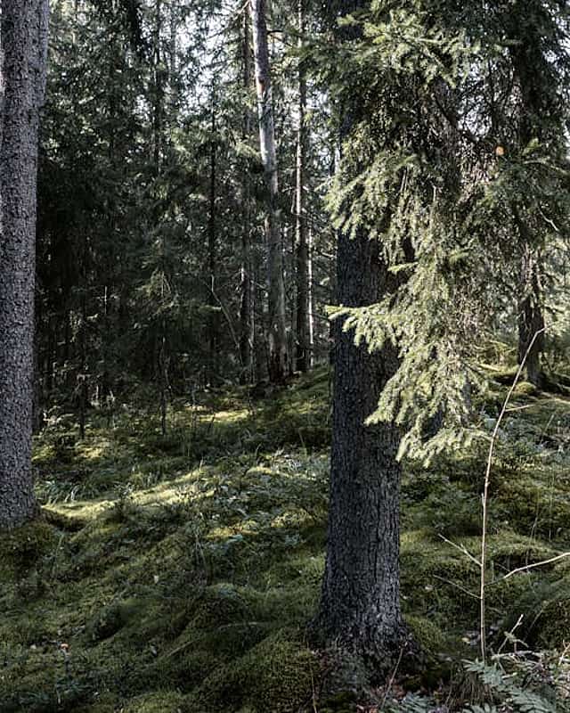 Nature & Outdoors