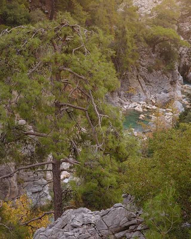 Naturaleza y aire libre