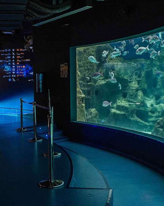 Cretaquarium
