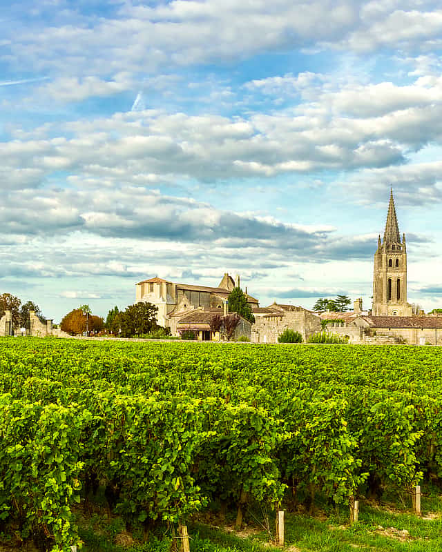 Bordeaux
