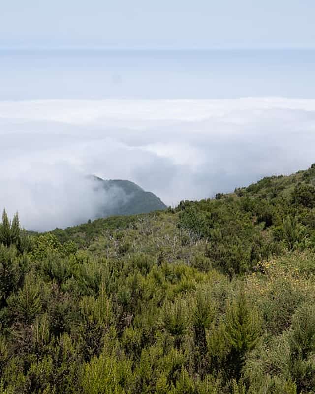 Marratxí