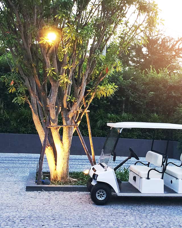 Golf Cart Tour