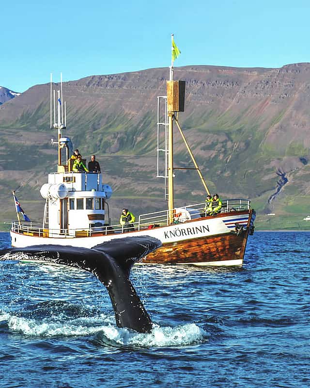Akureyri