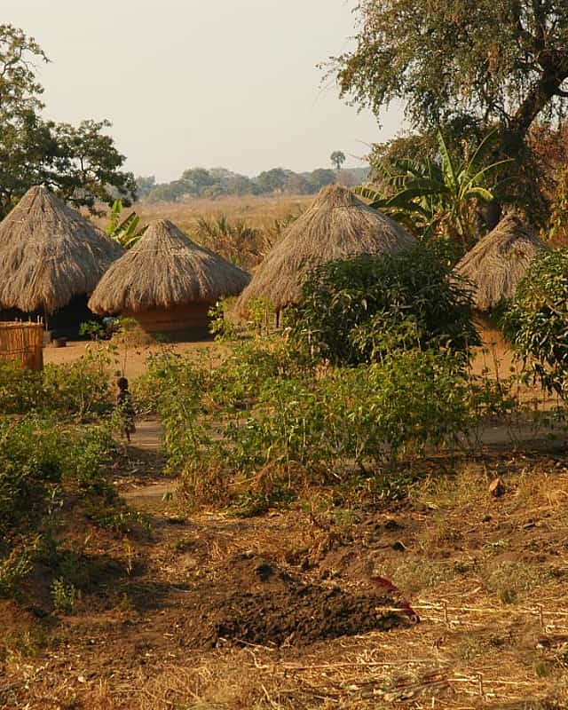 Kakumbi