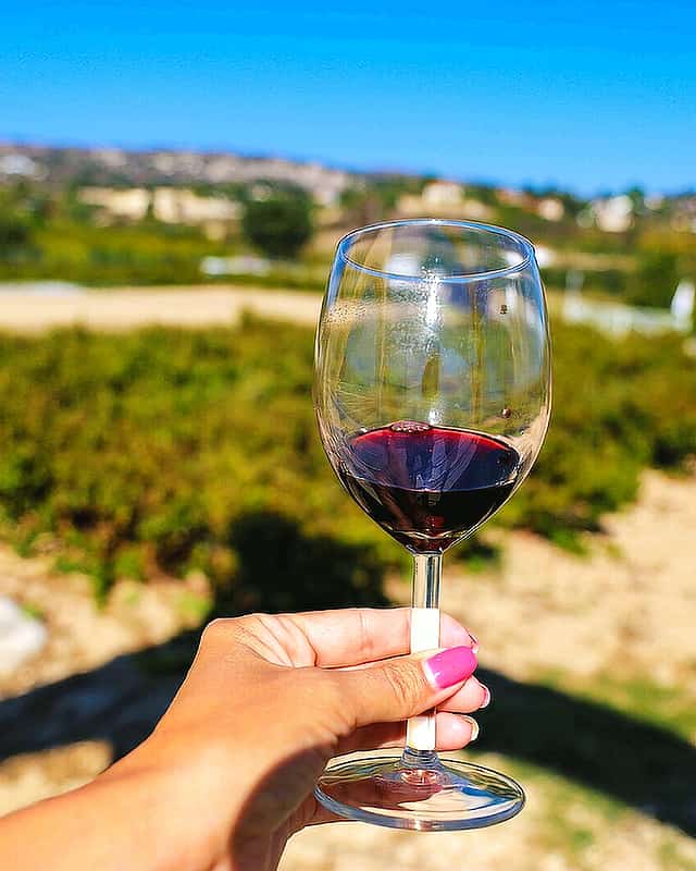 Paphos Local Wineries Tour & Wine Tasting