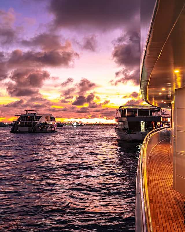 Cruises