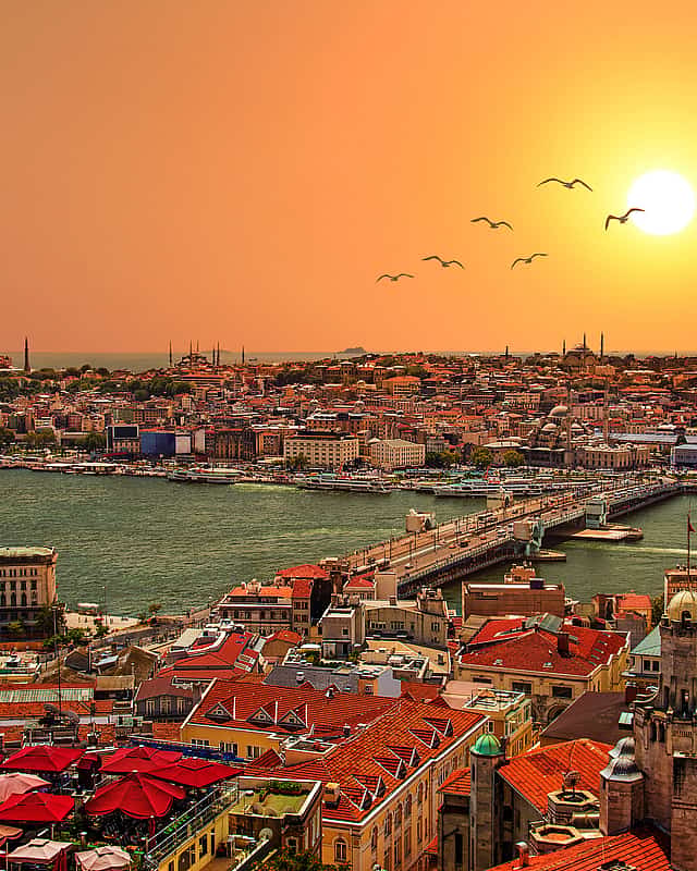 Golden Horn
