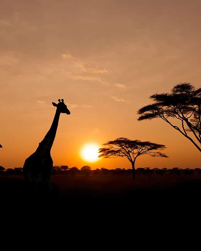 Aquila Private Game Reserve