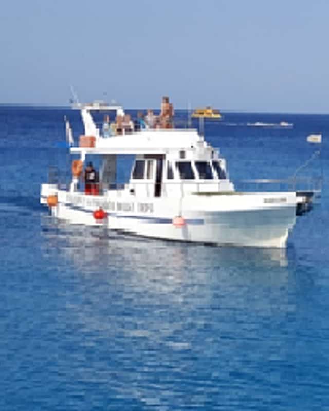 بروتاراس