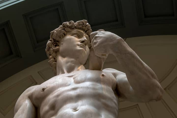 Official entry Ticket with time reservation  for the Accademia Gallery & Michelangelo’s David