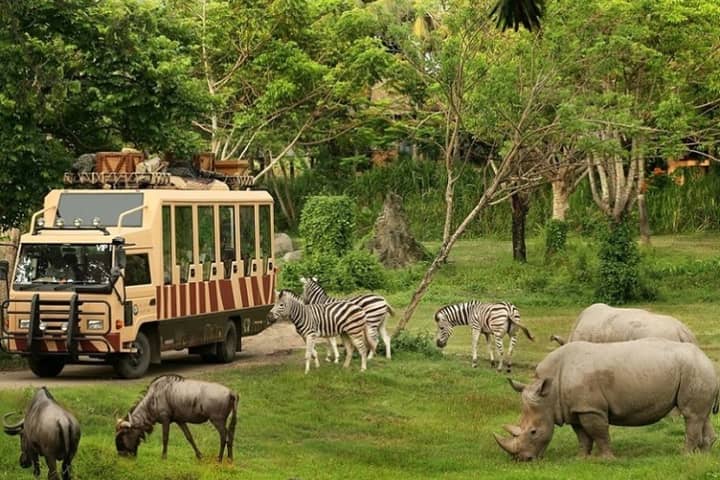 Bangkok: Safari World Tour with Safari and Marine Park Ticket, Lunch and Transfer