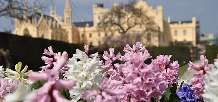 Photo 1 Private 4 Castles Day Trip from Vienna to South Moravian Region
