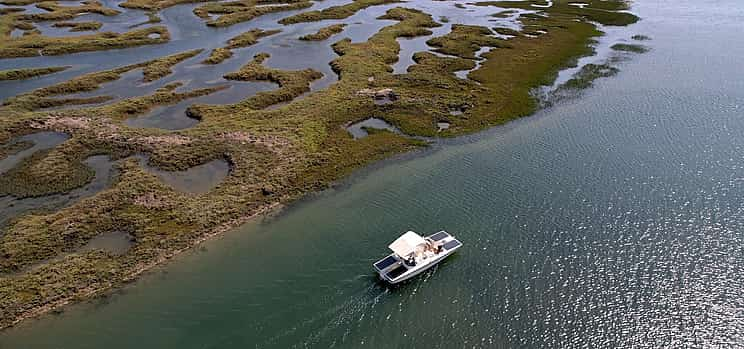 Photo 1 Discover Faro's Beauty: 1-hour Ria Formosa Eco Tour – Solar-Powered Tranquility in a Natural Park