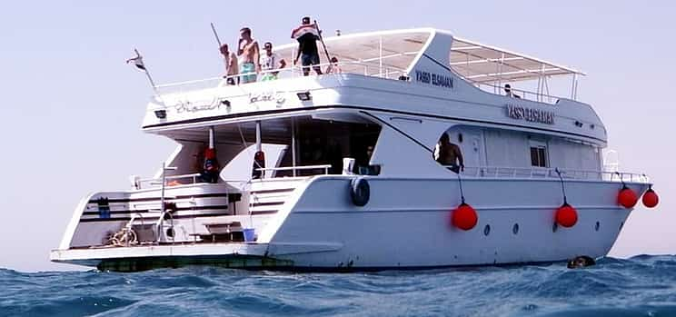 Photo 1 Day Tour on Yacht with Dolphins