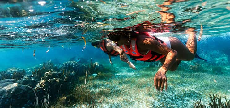 Photo 1 Puerto Morelos Reef Snorkeling Adventure with beachside lunch