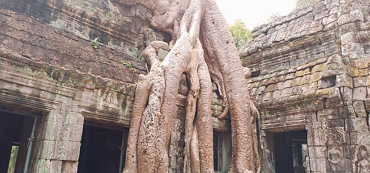 Photo 1 Private One Day Trip-The Best Experience in Siem Reap