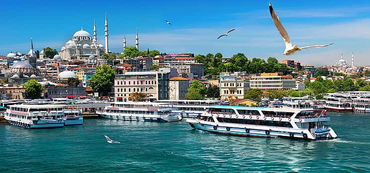 Photo 1 Bosphorus Cruise and Beylerbeyi Palace Tour