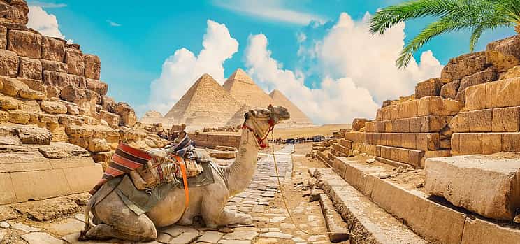 Photo 1 Private Day Tour to Giza Pyramids, Sakkara & Memphis with Lunch