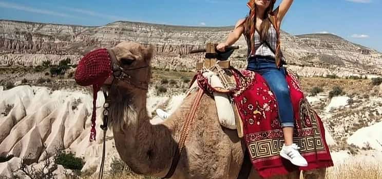 Photo 1 Fun Camel Tour at Any Time