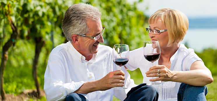 Photo 1 Private Full-day Stellenbosch or Franschhoek or Paarl Wine Tour from Cape Town