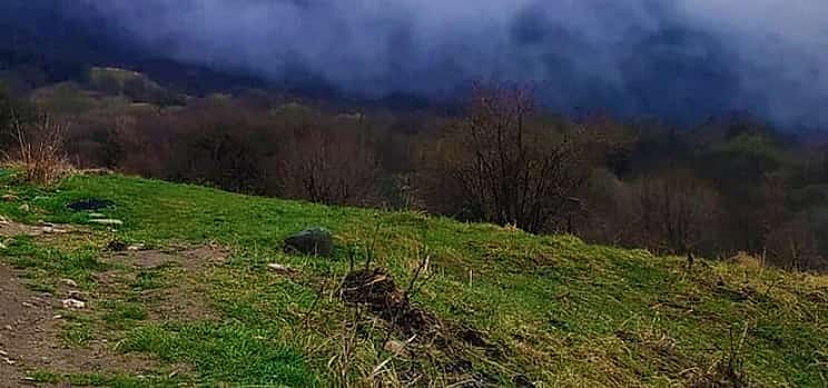 Photo 1 Discover Kakheti: Telavi, Sighnaghi, Lagodekhi, Akhtala & More