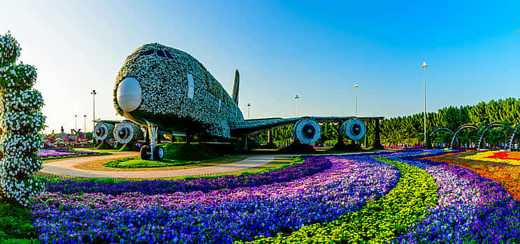Photo 1 Miracle Garden Tour