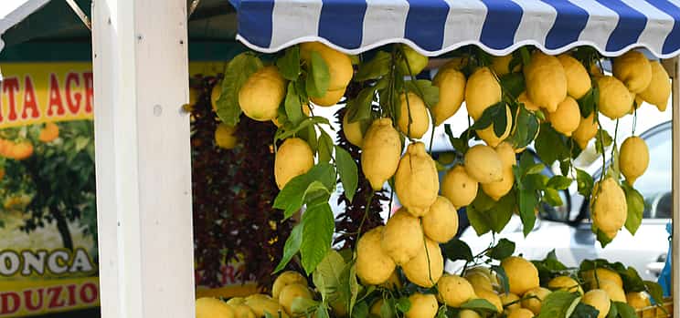 Photo 1 Pompeii and Sorrento Day Tour from Naples